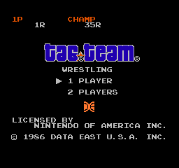 Tag Team Wrestling (USA) Title Screen